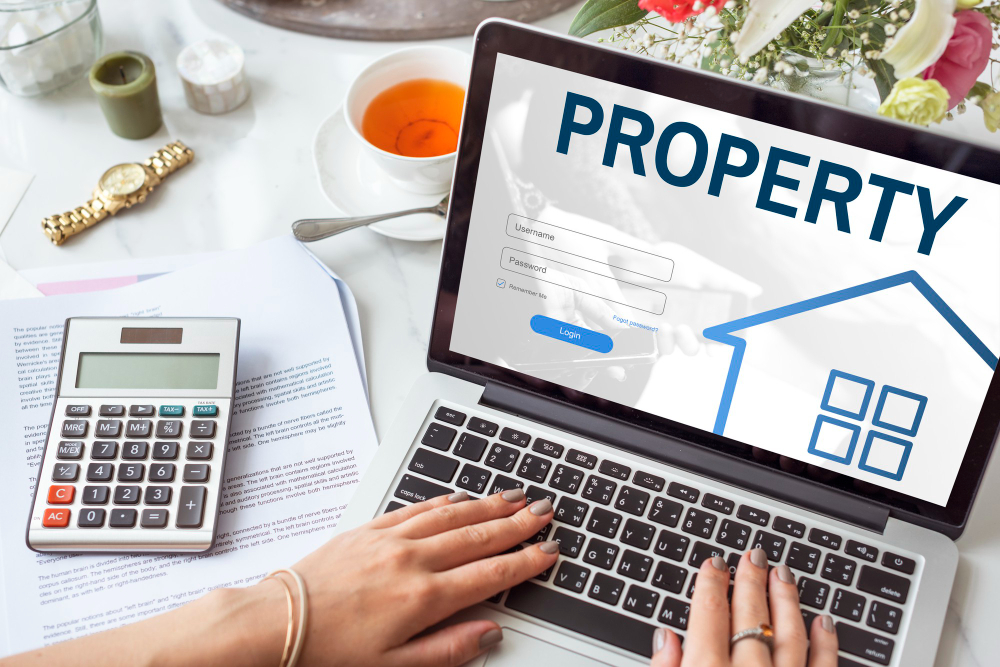 notice of intent to seize levy your property